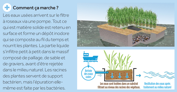 E'scargot qui flotte ! Avril 2024 - La Phyto-épuration flottante fonctionne ! Comment ça marche ?